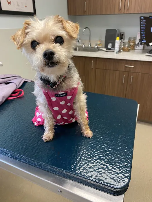 Clark Animal Care Center 8