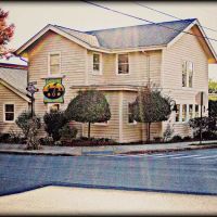 Fairport Animal Hospital ico