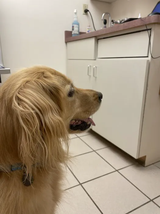 Fairport Animal Hospital 8