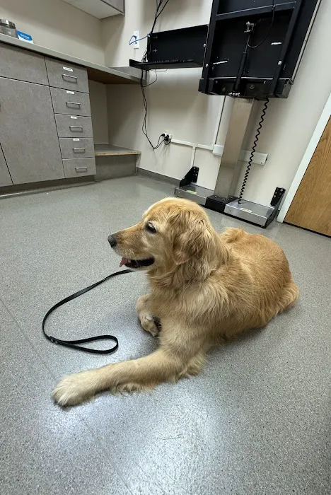 Fairview Veterinary Hospital 2