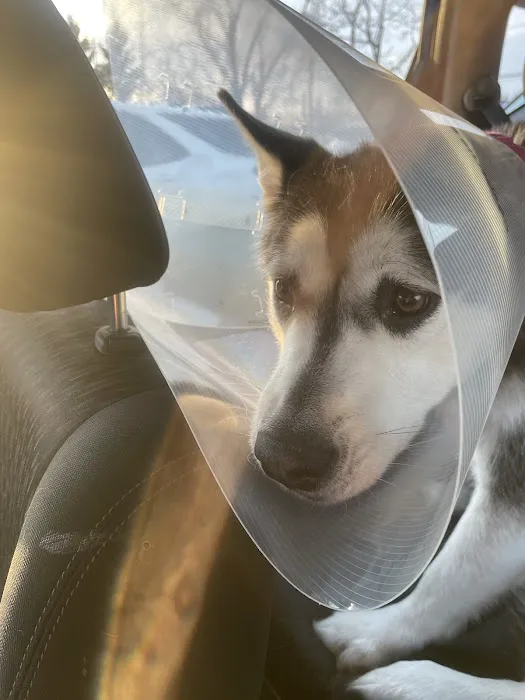 Fairview Veterinary Hospital 1