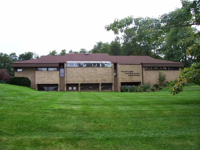 Fairview Veterinary Hospital 6