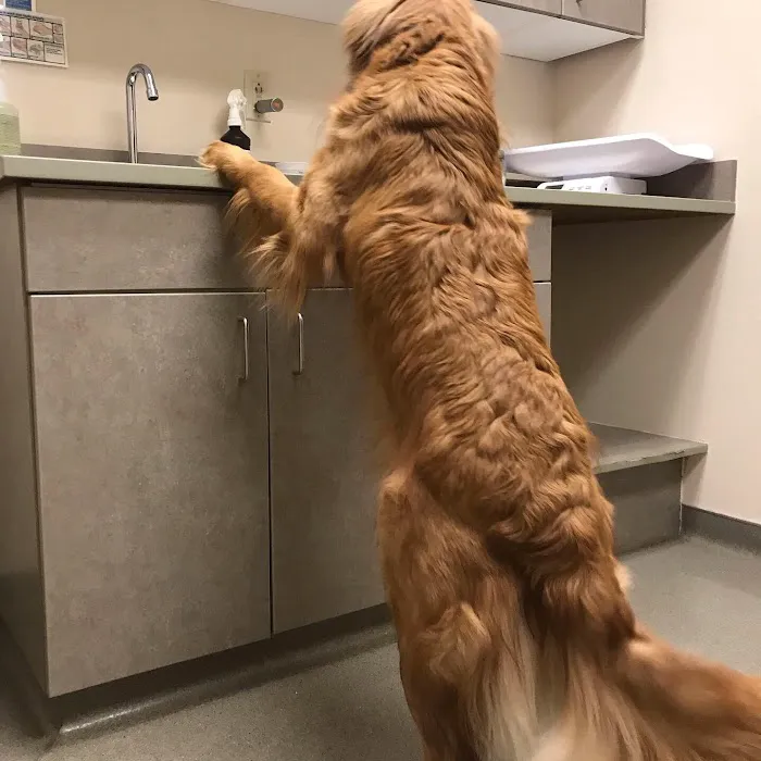 Fairview Veterinary Hospital 5