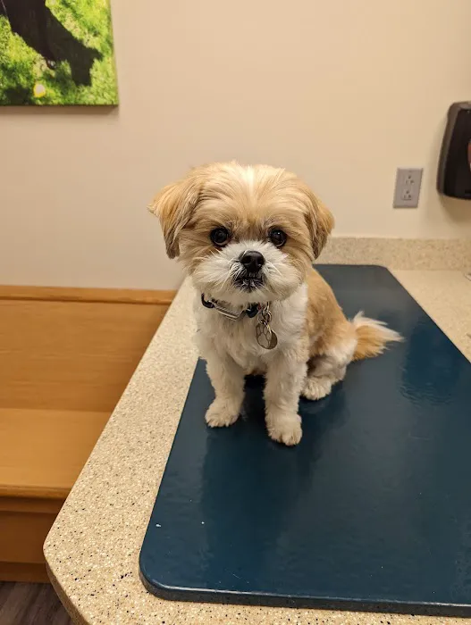 Perinton Veterinary Hospital 1