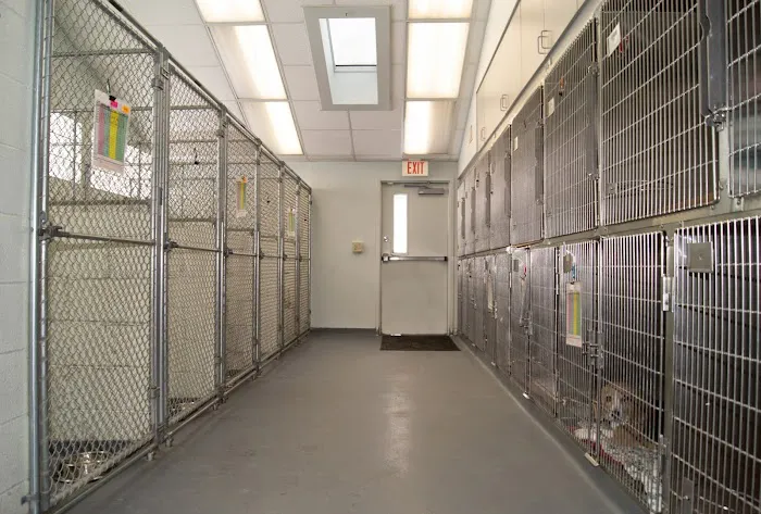 Perinton Veterinary Hospital 8