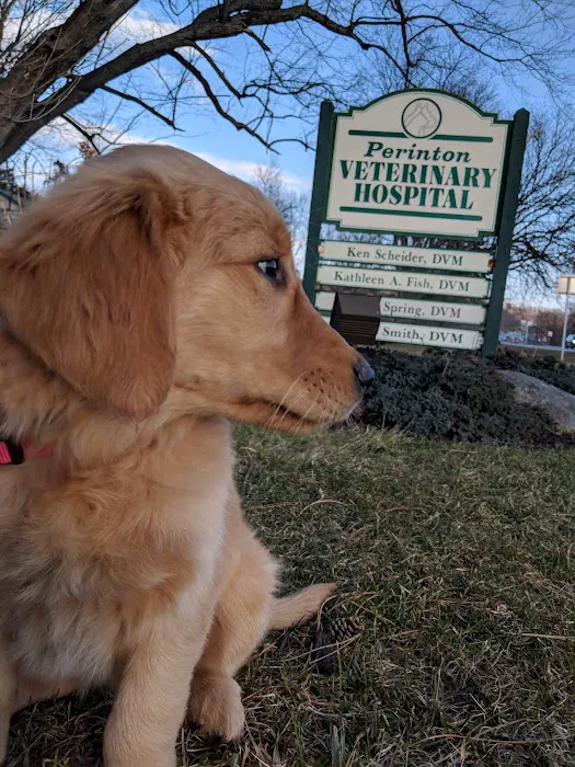 Perinton Veterinary Hospital 10