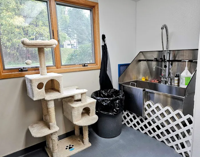 Perinton Veterinary Hospital 9