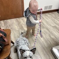 Storybook Farm Veterinary Hospital ico