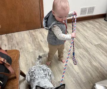 Storybook Farm Veterinary Hospital