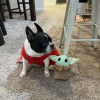 Waterway Animal Hospital ico