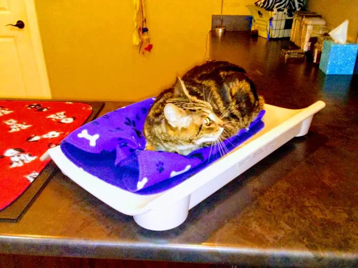 Waterway Animal Hospital 4