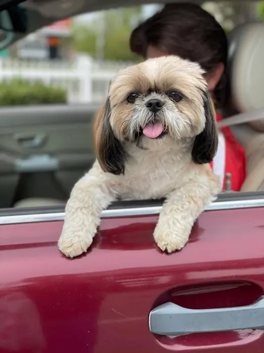 Kind Care Animal Hospital 1