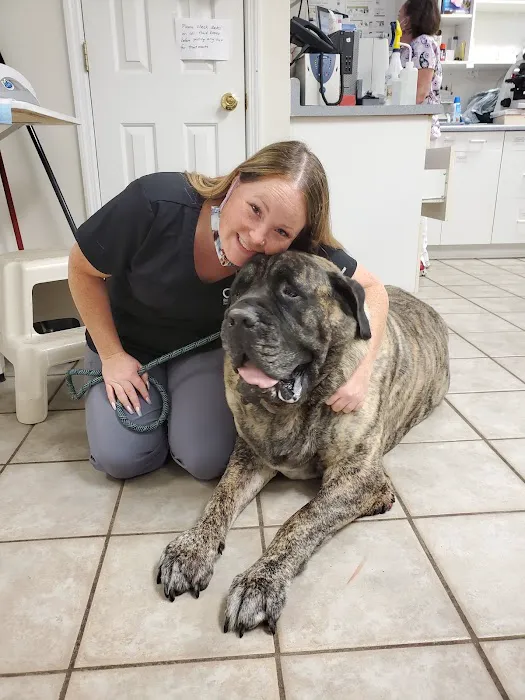 Kind Care Animal Hospital 8