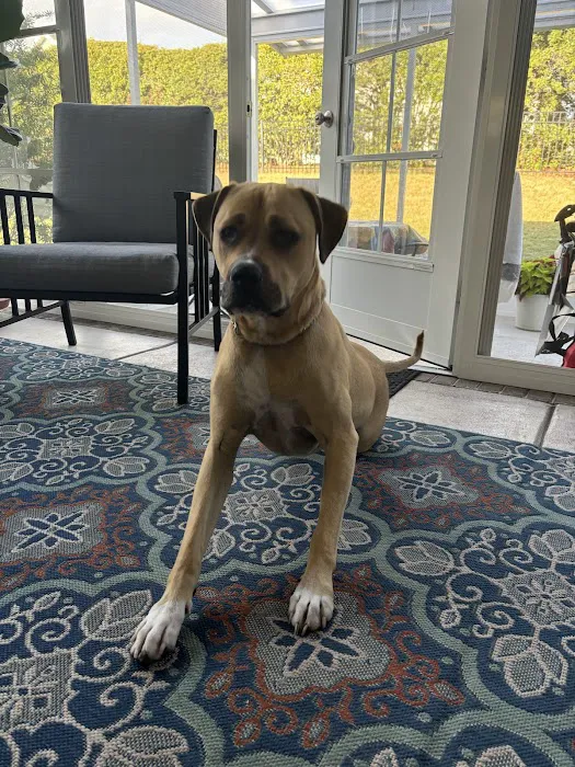 Animal Hospital of North Myrtle Beach 1