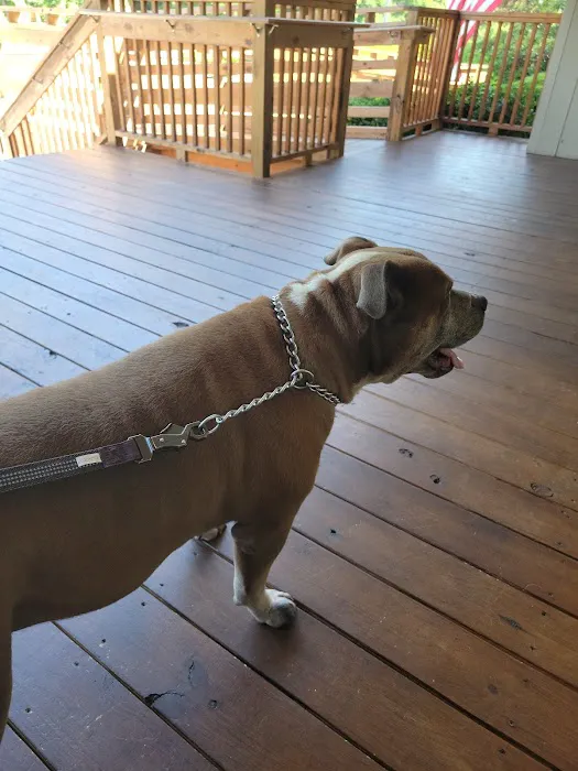 Animal Hospital of North Myrtle Beach 9