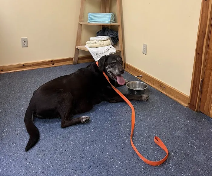 Cheat Lake Animal Hospital 9
