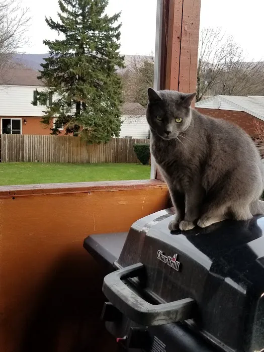 Cheat Lake Animal Hospital 7