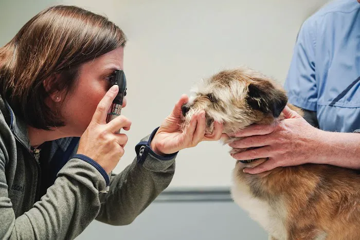 Animal Medical Center 3