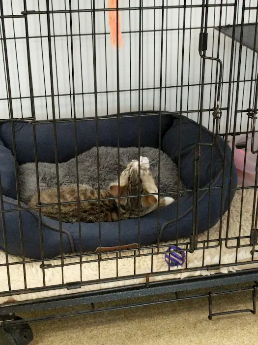 Animal Medical Center 7