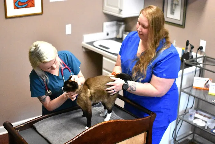 Feline Veterinary Care of Morgantown 4