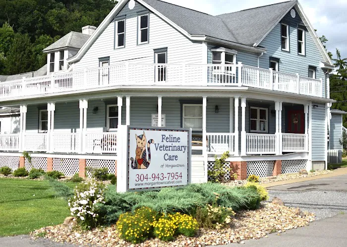 Feline Veterinary Care of Morgantown 2