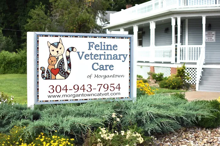 Feline Veterinary Care of Morgantown 3