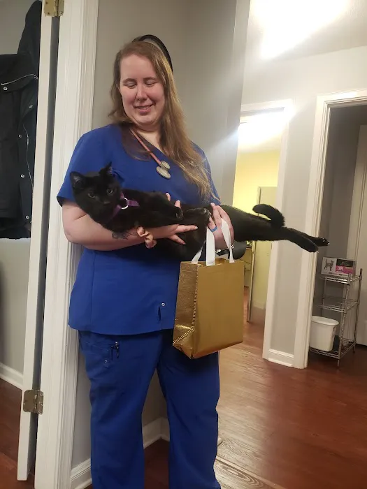 Feline Veterinary Care of Morgantown 8