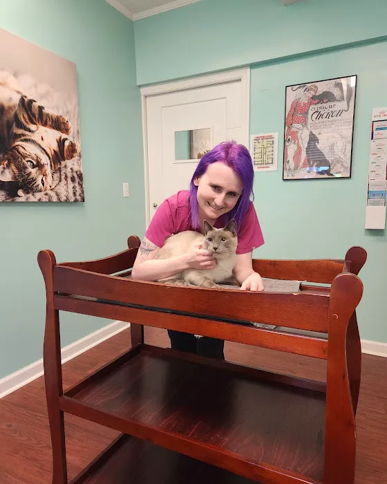 Feline Veterinary Care of Morgantown 6