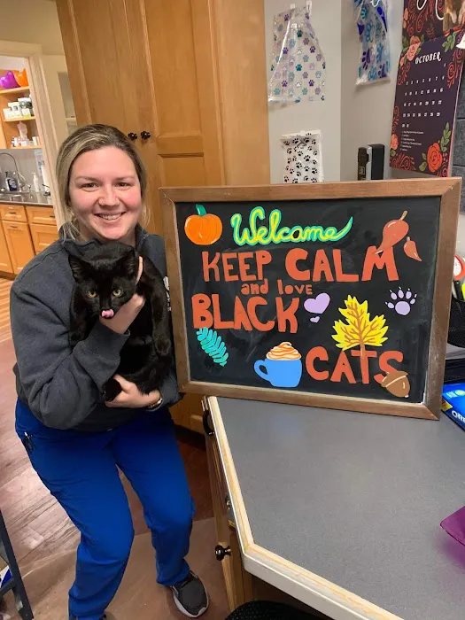Feline Veterinary Care of Morgantown 9