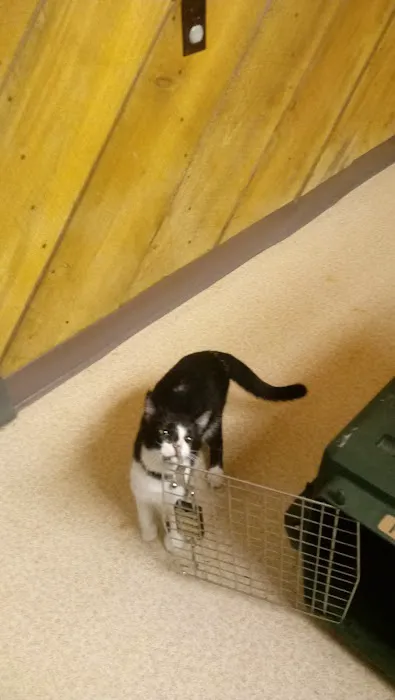 Mountaineer Veterinary Clinic 4