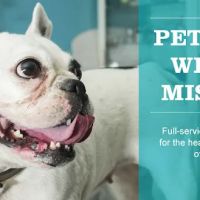 Bredel Veterinary Clinic ico