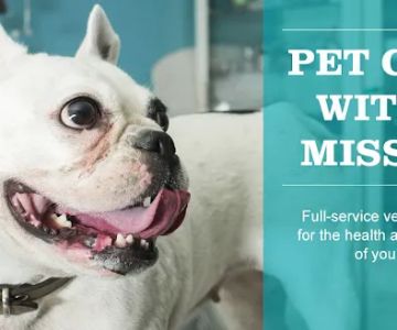 Bredel Veterinary Clinic
