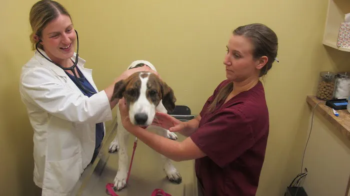 Bredel Veterinary Clinic 4