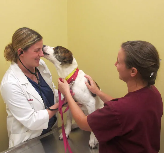 Bredel Veterinary Clinic 5