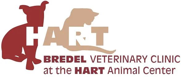 Bredel Veterinary Clinic 7
