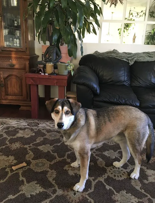 Lakeview Animal Clinic 2