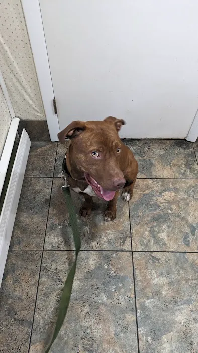 Lakeview Animal Clinic 5