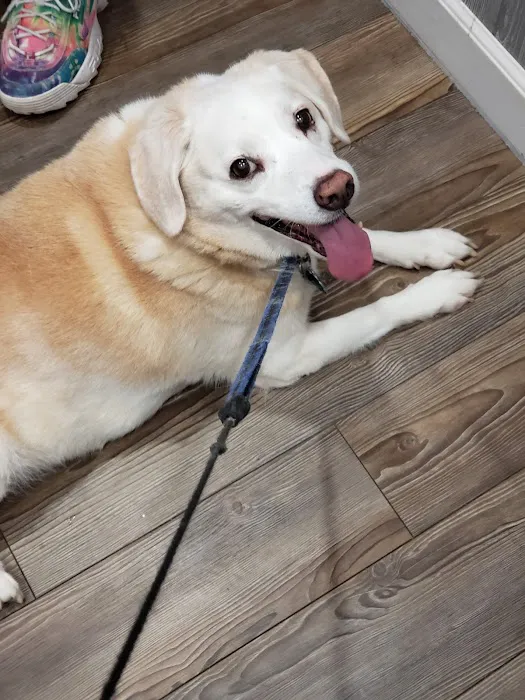 Vought Veterinary Services LLC 3