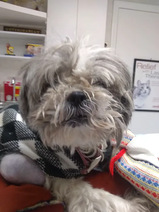 Loyalhanna Veterinary Clinic 3