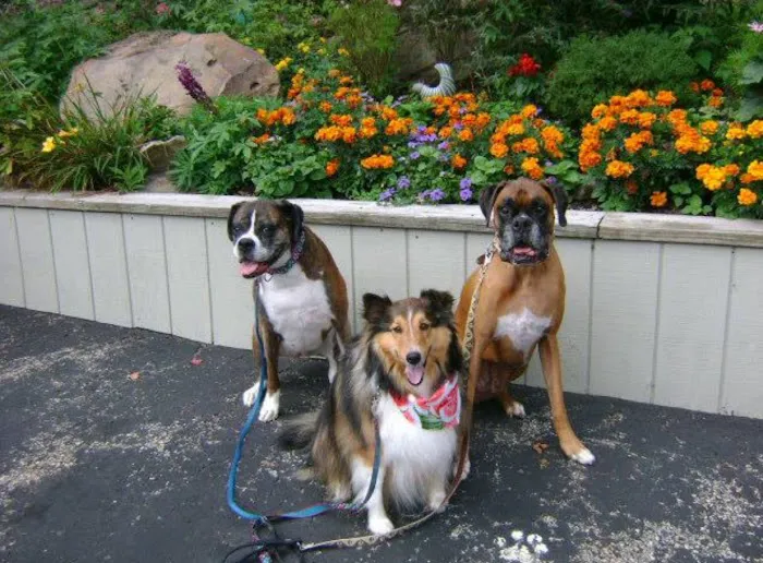 Loyalhanna Veterinary Clinic 4