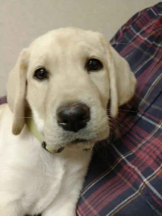 Donovan Veterinary Clinic 8