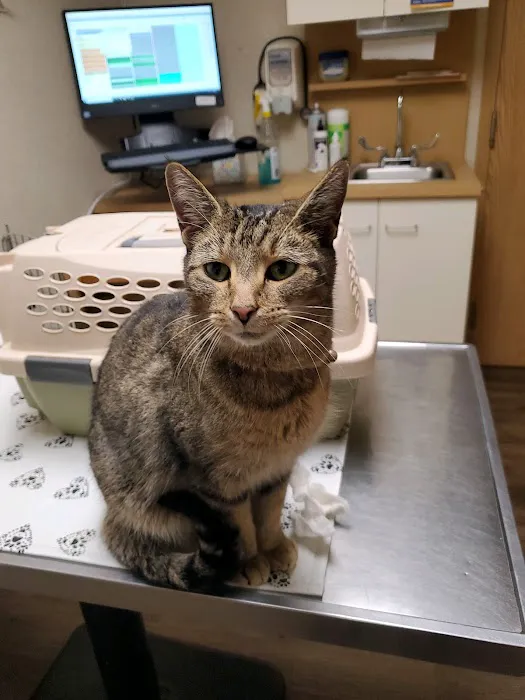 Donovan Veterinary Clinic 5