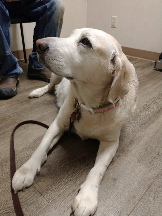 Donovan Veterinary Clinic 7