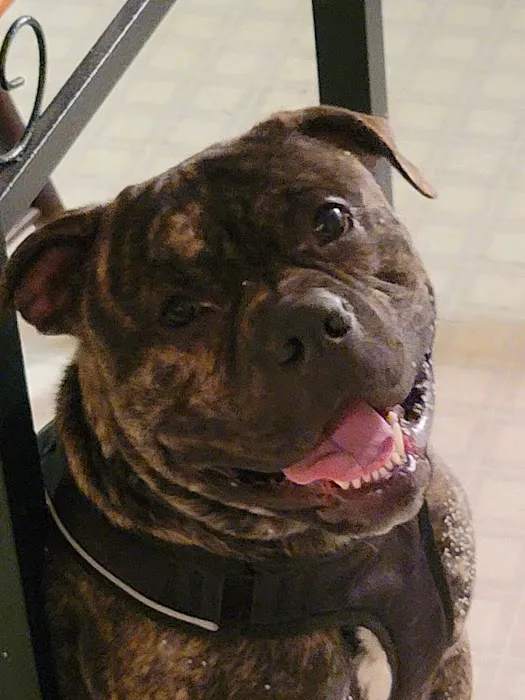 Donovan Veterinary Clinic 10