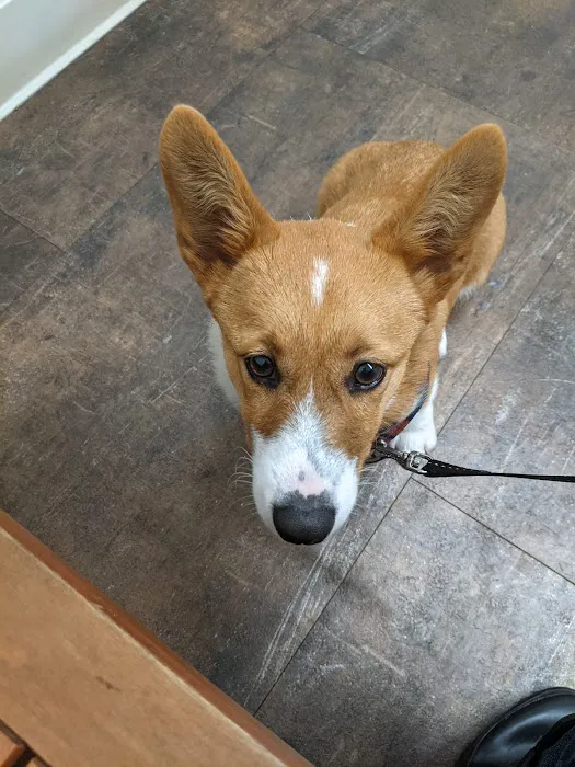Glades Pike Veterinary Hospital 3