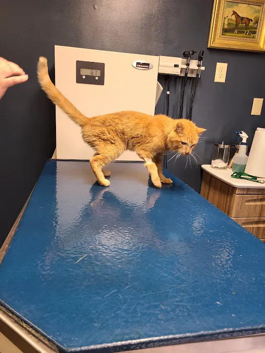 Glades Pike Veterinary Hospital 2