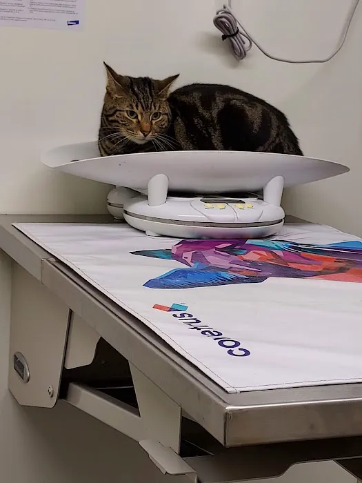 Glades Pike Veterinary Hospital 1