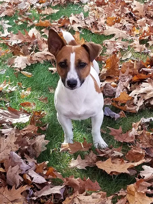Animal Medical Center Somerset 2