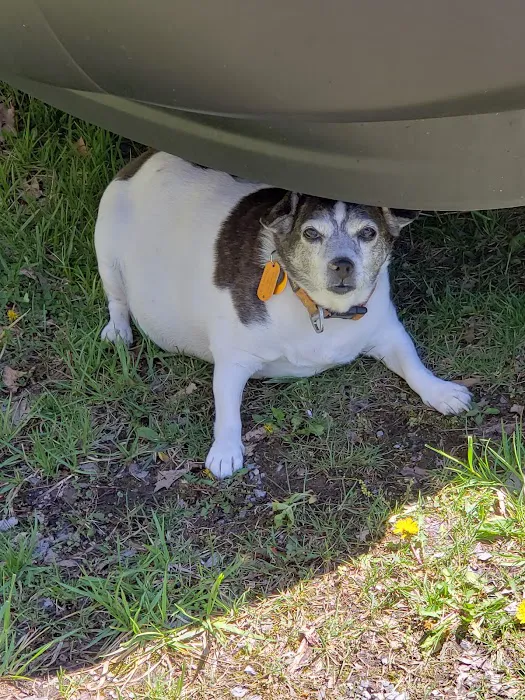Animal Medical Center Somerset 9