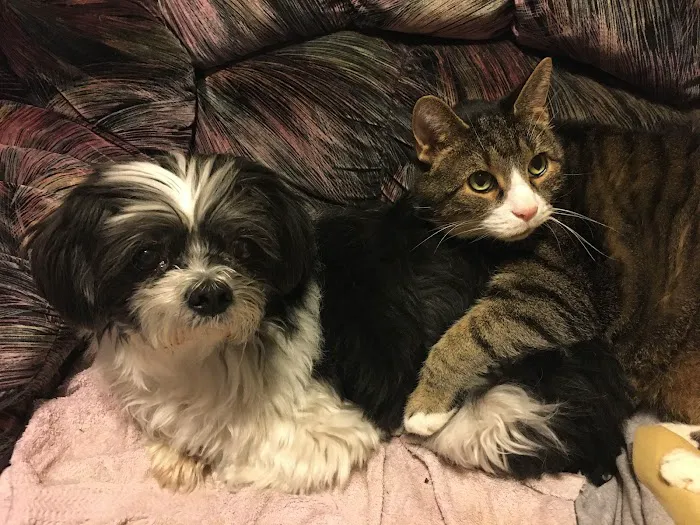 Animal Medical Center Somerset 7